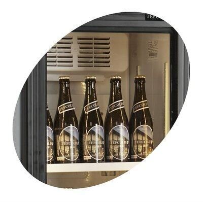 Шафа холодильна Tefcold FSC175H 4737-32 фото